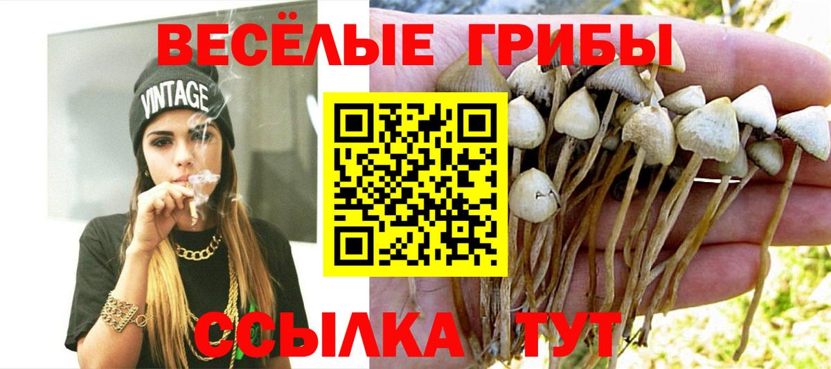 Псков  Галлюциногенные грибы GOLDEN TEACHER  Псилоцибиновые грибы мухоморы  Вход с VPN 