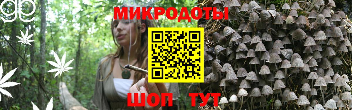 Псилоцибиновые грибы GOLDEN TEACHER Псков